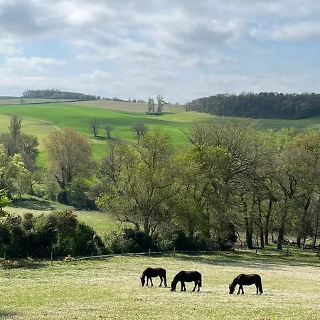 Nyaraló De L'olivier - Varennes Varennes (Haute-Garonne)